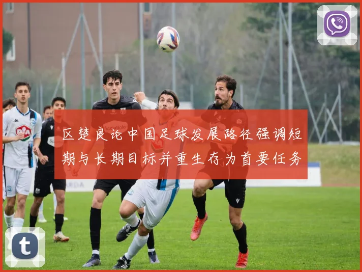 区楚良论中国足球发展路径强调短期与长期目标并重生存为首要任务
