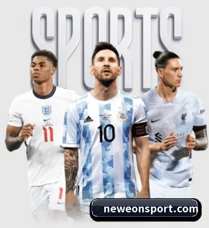 本站五个常用功能入口,赛程查询路径更短 - 多运动项目内容板块（eonsports）